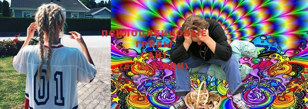 мяу мяу кристалл Дмитров