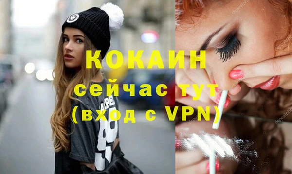 прущая мука Дмитриев