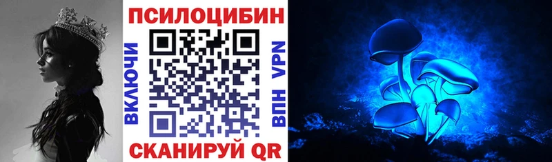 Купить где  Колпашево  Галлюциногенные грибы мицелий 